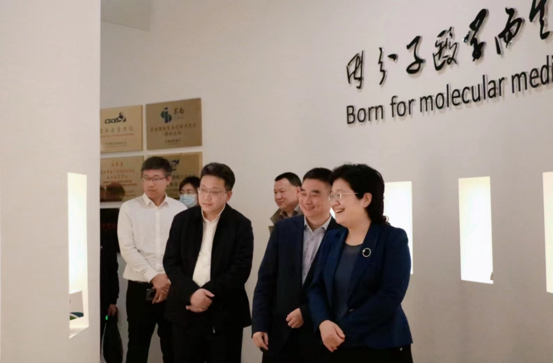 徐州市政府代表团莅临k8凯发(中国)生物调研指导