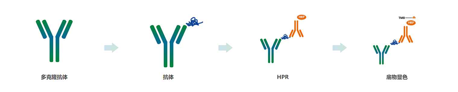 1650847355926161.png 0.2.png