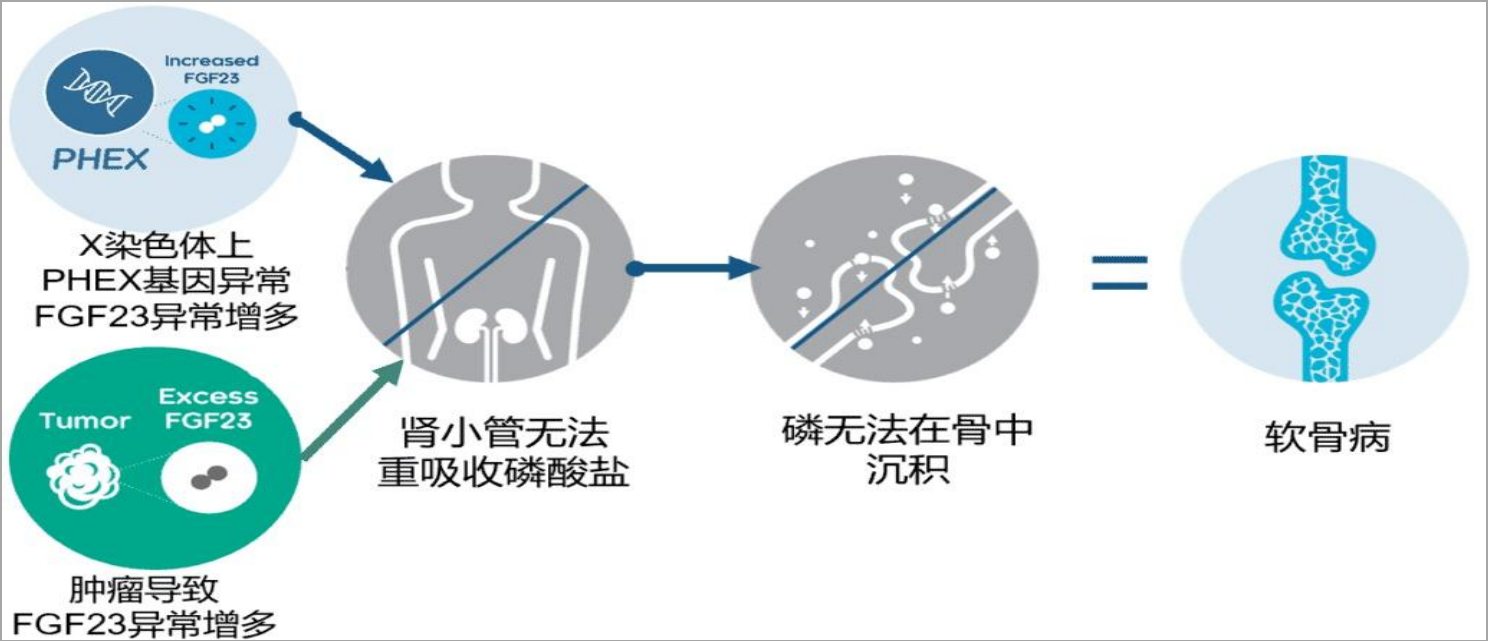 1731784727862455.png image.png